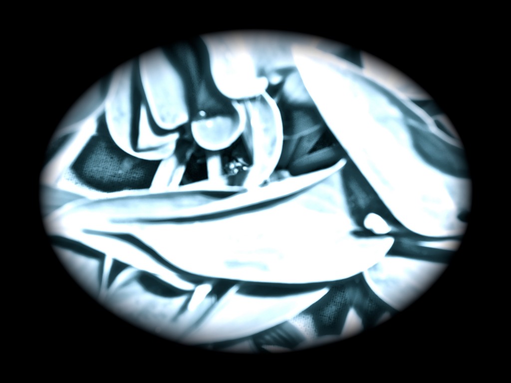 DSCN0068