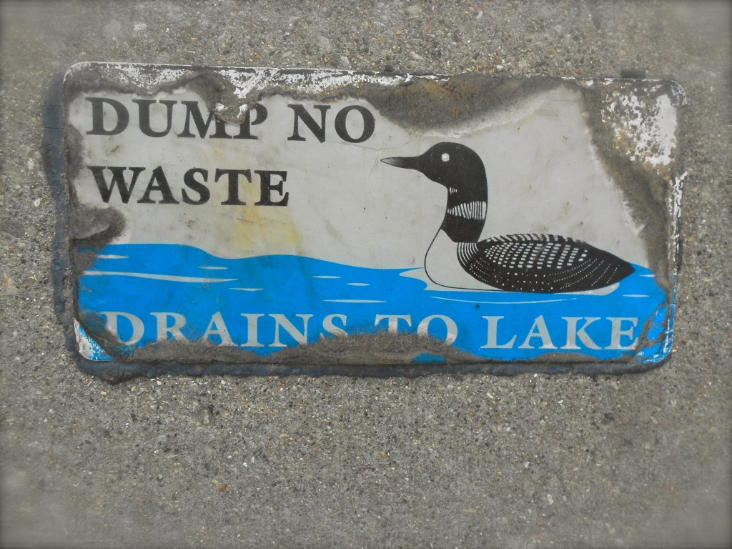 DSCN0531